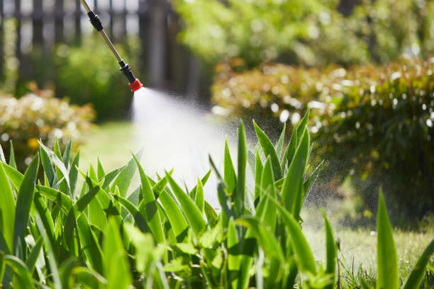 Void Injection for Cockroach Colonies in Scottsville