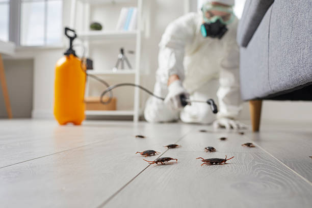 Commercial Kitchen Cockroach Control in Scottsville